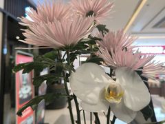 -南堂馆·新川菜(春熙路店)