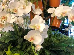 -上海虹桥西郊假日酒店