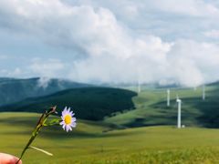 -塞罕坝国家级自然保护区