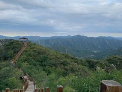 -大岭沟猕猴桃谷风景区