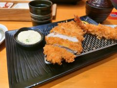 -胜博殿日式炸猪排(西红门店)