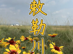 -敕勒川草原