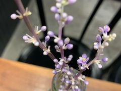 -black rainbow coffee