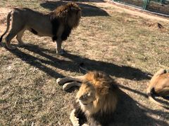 -鄂尔多斯野生动物园