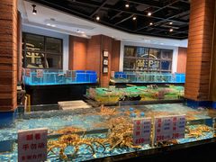 水产区-广东道至正餐厅(区庄店)