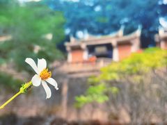 -草庵摩尼教遗址公园