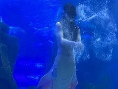 -江和美海洋公园