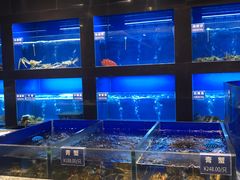 水产区-金时代顺风大酒店(临港百联店)