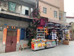 -长洲岛