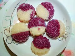 -葱妈母婴医护月嫂中心(浦东店)