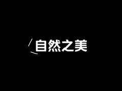 -好玩工厂剧情密室鹅鸭杀桌游