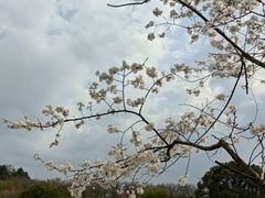 -凤凰沟景区