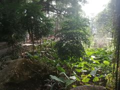 -青芝山风景名胜区