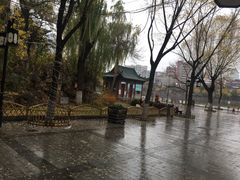 -文瀛公园