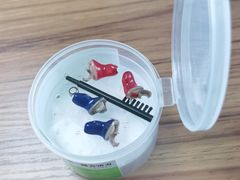 -自然之声助听器·呼吸机(翠微大厦店)