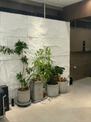 -BOF HAIR BY HONTO
