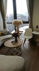 -美肌工坊皮肤管理