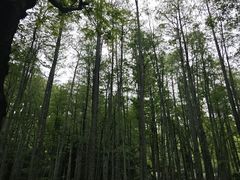 -杭州植物园