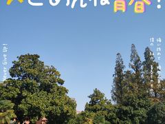-南京钟山宾馆(江苏省会议中心)