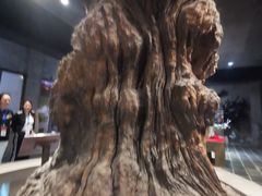 -乐山乌木文化博览苑