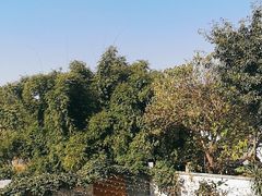 -三圣花乡旅游区