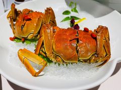 -蟹榭(静安寺晶品商场店)