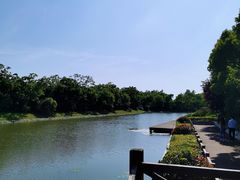 -上海海湾国家森林公园