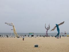 -大梅沙海滨公园