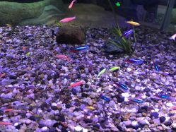 -酷嗒动物文化乐园(cutezoo西溪乐天城店)