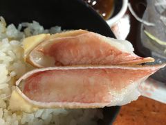 -蟹料理 北海道かに将軍(札幌本店)