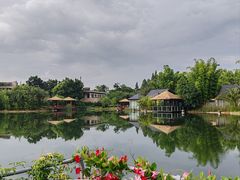 -抚仙湖万达文华酒店