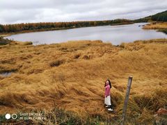 -塞罕坝国家级自然保护区