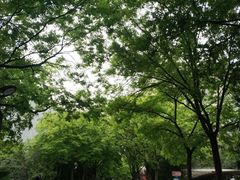 -南京航空航天大学(明故宫校区)