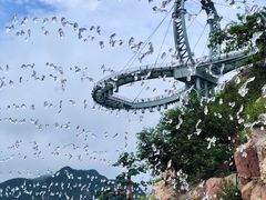 -黄腾峡天门悬廊