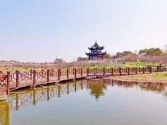 -上海海湾国家森林公园