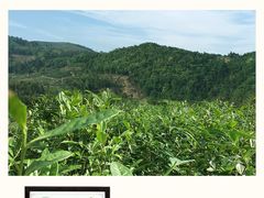 -牛一嘴·兰州牛肉面·大盘鸡(财富中心店)