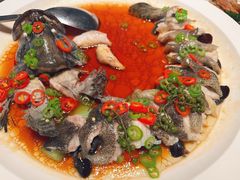 -曼格纳·曼芯馆(杨浦店)
