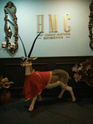 -HMC美容按摩SPA馆