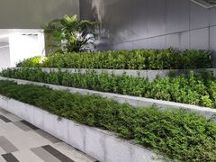 -番禺广场(市桥街道)