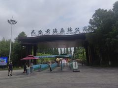 -黄海国家森林公园