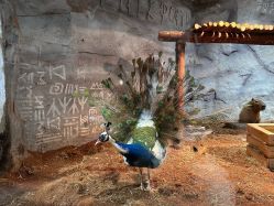 -Zoolung Zoolung动物主题公园(海信广场店)