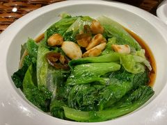 白灼有机生菜-老广酒楼(樱花店)