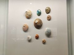 -大连自然博物馆
