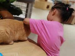 -藏猫猫咖啡主题馆(中央大道店)