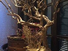 -渔家灯火(明湖店)
