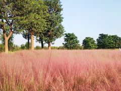 -汉长安城未央宫国家考古遗址公园