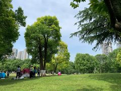-重庆彩云湖湿地公园