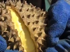 -吾家果精品水果(海第店)