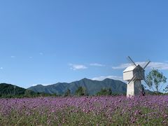 -北京东方普罗旺斯薰衣草庄园