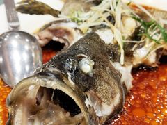 清蒸海石斑-稻香酒家(天河城店)